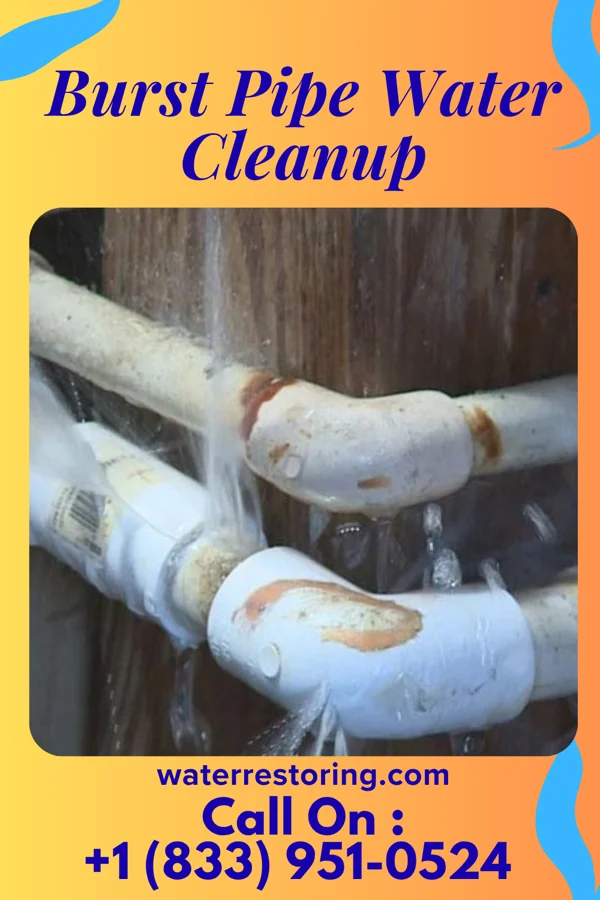 Burst Pipe Water Cleanup in Rockland, WI
