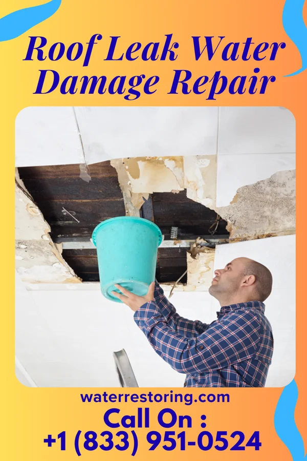 Roof Leak Water Damage Repair in Rockland, WI