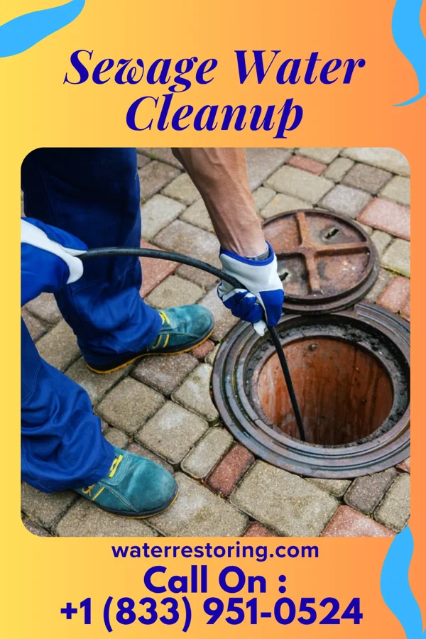 Sewage Water Cleanup in Rockland, WI